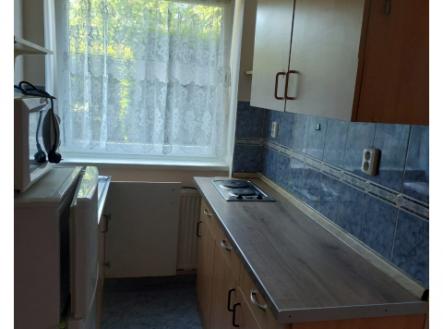Novostavba 1+1 k pronájmu,40 m2, metro Dejvická 15 min autem,