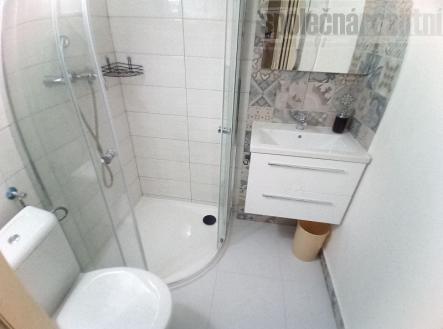 Jednotka  2kk k prodeji, 53 m2, Praha Žižkov, po částečné rekonstrukcí
