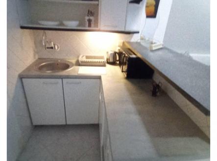Jednotka  2kk k prodeji, 53 m2, Praha Žižkov, po částečné rekonstrukcí