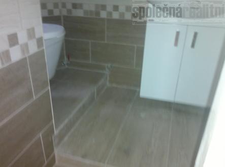 Byt 1kk k pronájmu,  20 m2, Holubice, bus na metro Bořislavka, 9000 Kč včetně všech poplatků