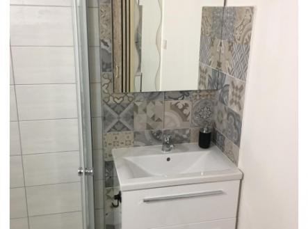 Jednotka  2kk k prodeji, 53 m2, Praha Žižkov, po částečné rekonstrukcí