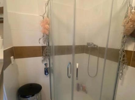 Byt 3kk k prodeji, 67 m2, Praha Žižkov