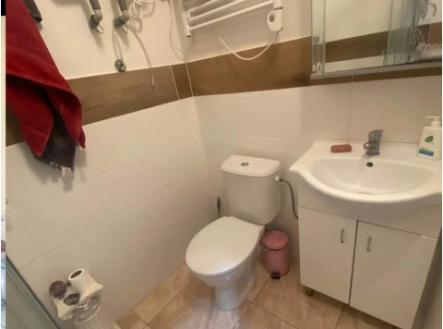 Byt 3kk k prodeji, 67 m2, Praha Žižkov