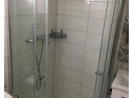 Jednotka  2kk k prodeji, 53 m2, Praha Žižkov, po částečné rekonstrukcí