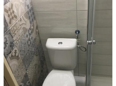 Jednotka  2kk k prodeji, 53 m2, Praha Žižkov, po částečné rekonstrukcí