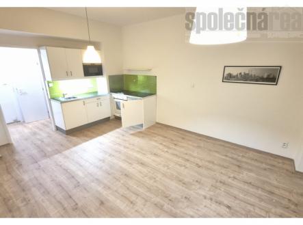 Pronájem bytu, 1+kk, 30 m²