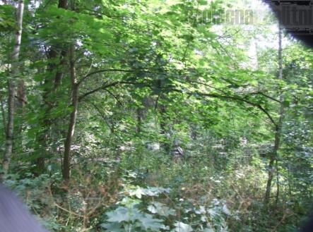 Prodej pozemku pro bydlení, 1 742 m²