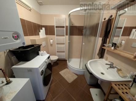 Pronájem bytu, 1+kk, 53 m²