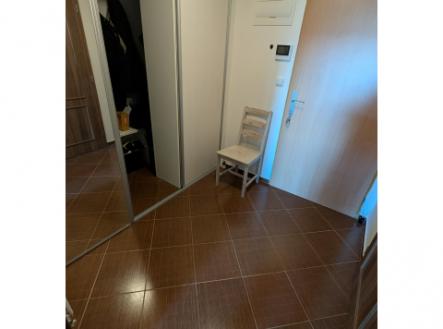 Nový  byt 1kk s patrem na spaní, zahradou a gar. stáním v ceně, Mníšek pod Brdy