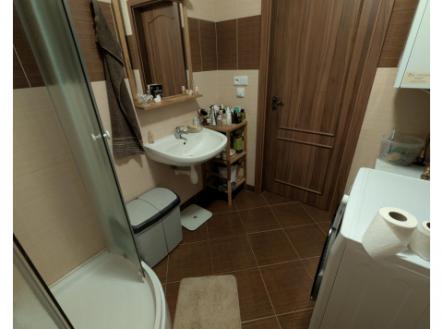 Nový  byt 1kk s patrem na spaní, zahradou a gar. stáním v ceně, Mníšek pod Brdy