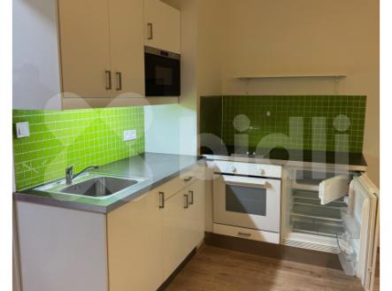Nadstandardní byt 1kk po  kompletní nové rekonstrukci k pronájmu, centrum - Vinohrady