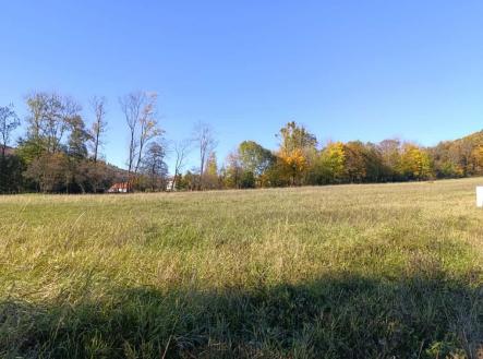 Prodej pozemku pro bydlení, 1 387 m²