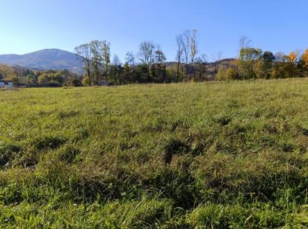 Prodej pozemku pro bydlení, 1 481 m²