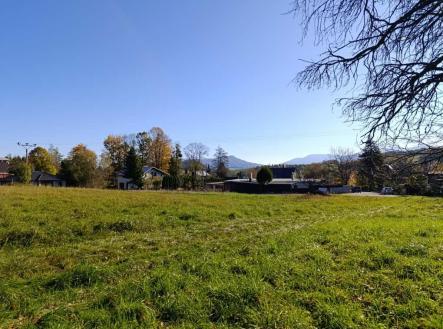 Prodej pozemku pro bydlení, 1 481 m²