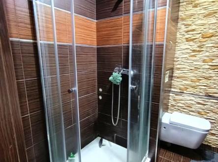 Pronájem bytu, 2+1, 56 m²