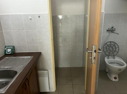 Pronájem - obchodní prostor, 54 m²