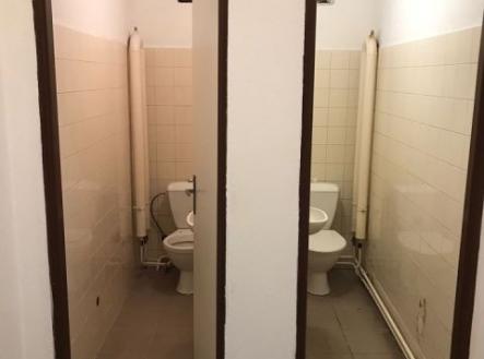 Pronájem obchodní prostor, 77 m²