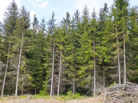 Prodej pozemku, les, 5 230 m²