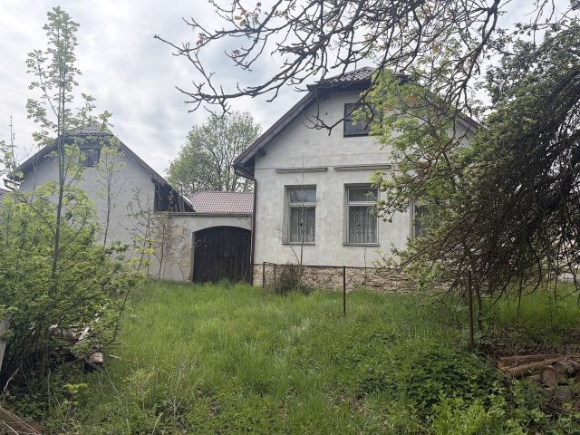 Fotka 29