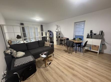 Pronájem bytu, 1+kk, 47 m²