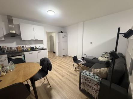 Pronájem bytu, 1+kk, 47 m²