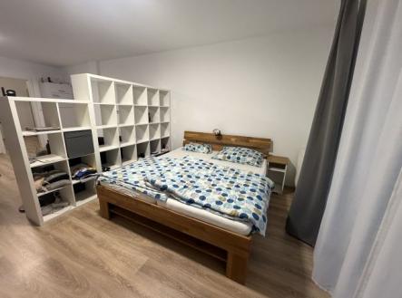 Pronájem bytu, 1+kk, 47 m²