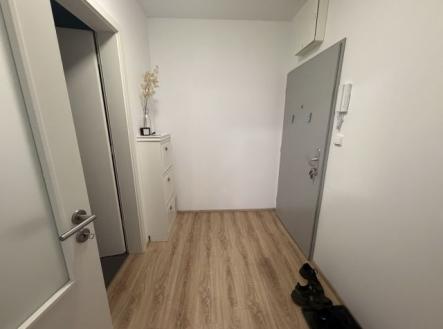 Pronájem bytu, 1+kk, 47 m²