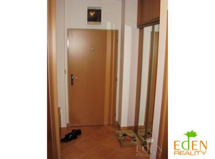 Pronájem bytu, 1+kk, 42 m²