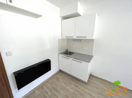 Pronájem bytu, 1+kk, 16 m²