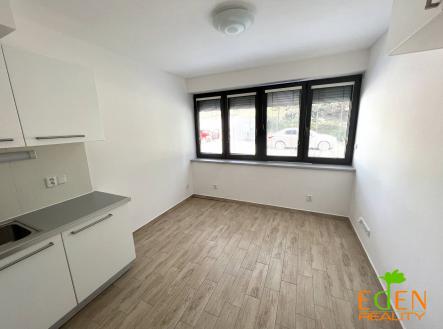 Pronájem bytu, 1+kk, 16 m²