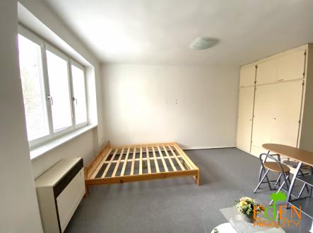 Pronájem bytu, 1+kk, 28 m²