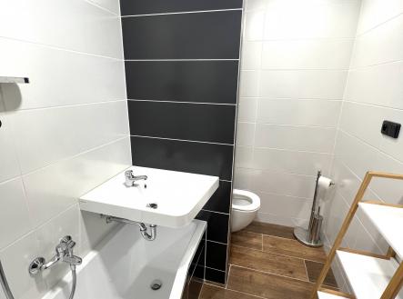 Pronájem bytu, 1+kk, 28 m²