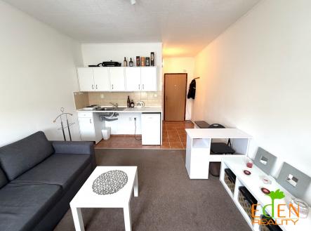 Pronájem bytu, 1+kk, 25 m²