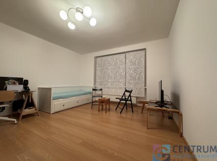 Pronájem bytu, 1+1, 58 m²