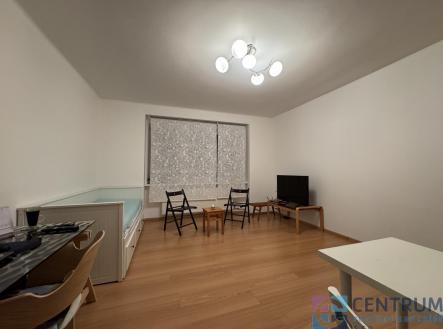 Pronájem bytu, 1+1, 58 m²