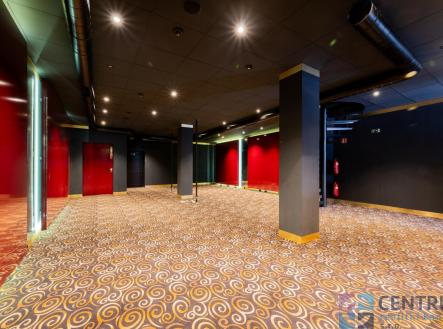 Pronájem obchodní prostor, 264 m²