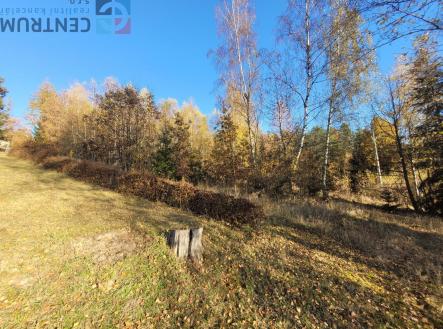 Prodej pozemku, trvalý travní porost, 6 834 m²