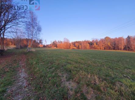 Prodej pozemku, trvalý travní porost, 6 834 m²