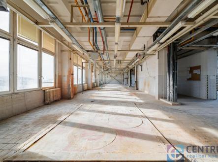 Pronájem výrobní prostor, 583 m²