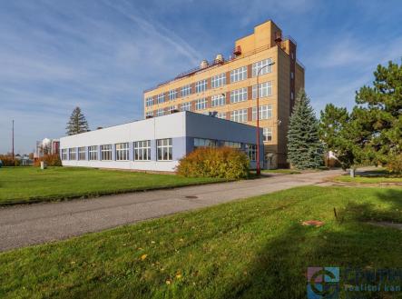 Pronájem skladovací prostor, 631 m²