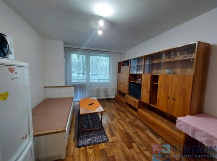 Pronájem bytu, 1+kk, 26 m²