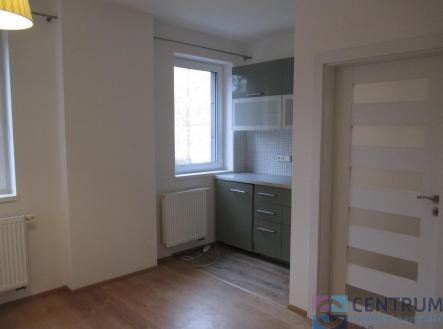 Pronájem bytu, 1+kk, 23 m²