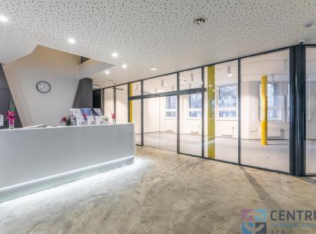 Pronájem obchodní prostor, 66,1 m²