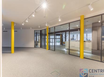 Pronájem obchodní prostor, 66,1 m²