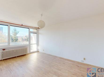 Pronájem bytu, 3+1, 67 m²