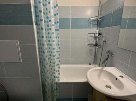 Pronájem bytu, 1+1, 42 m²