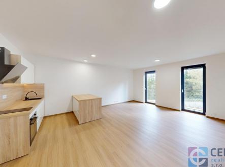 Pronájem bytu, 1+kk, 53 m²