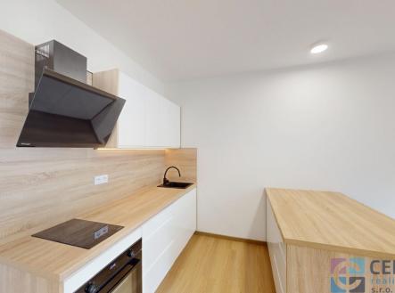 Pronájem bytu, 1+kk, 53 m²