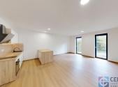 Pronájem bytu, 1+kk, 53 m²