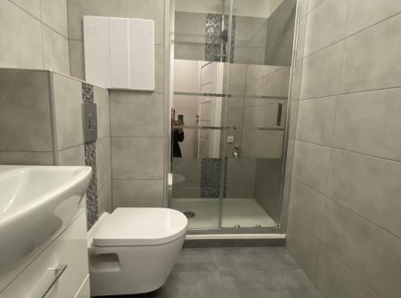 Pronájem bytu, 1+1, 36 m²